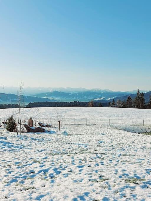 Apartment Schmuckstueck Im Allgaeu